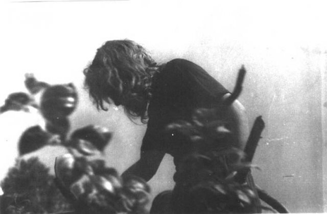 41